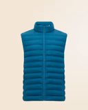 Dark Teal