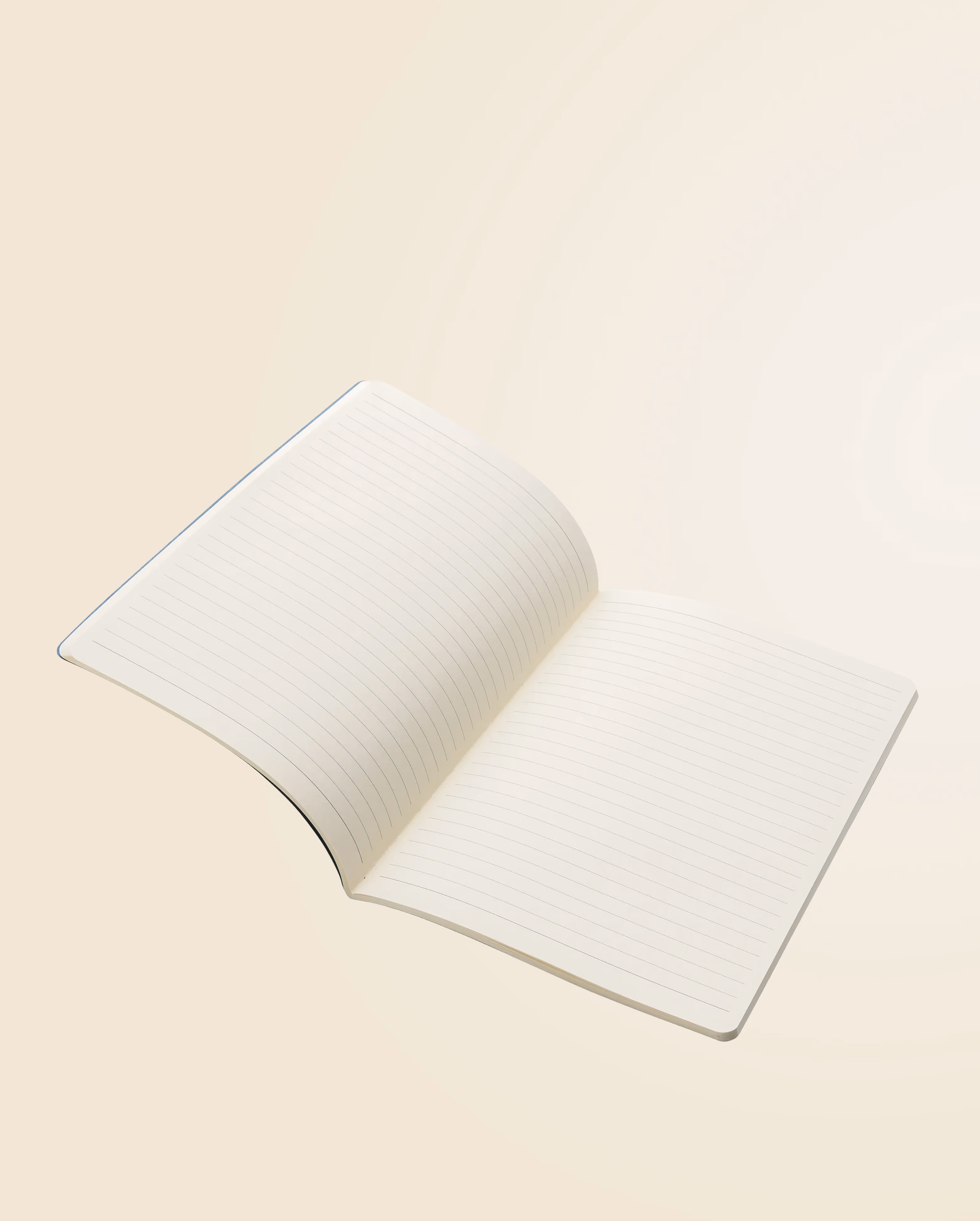 Product view 12