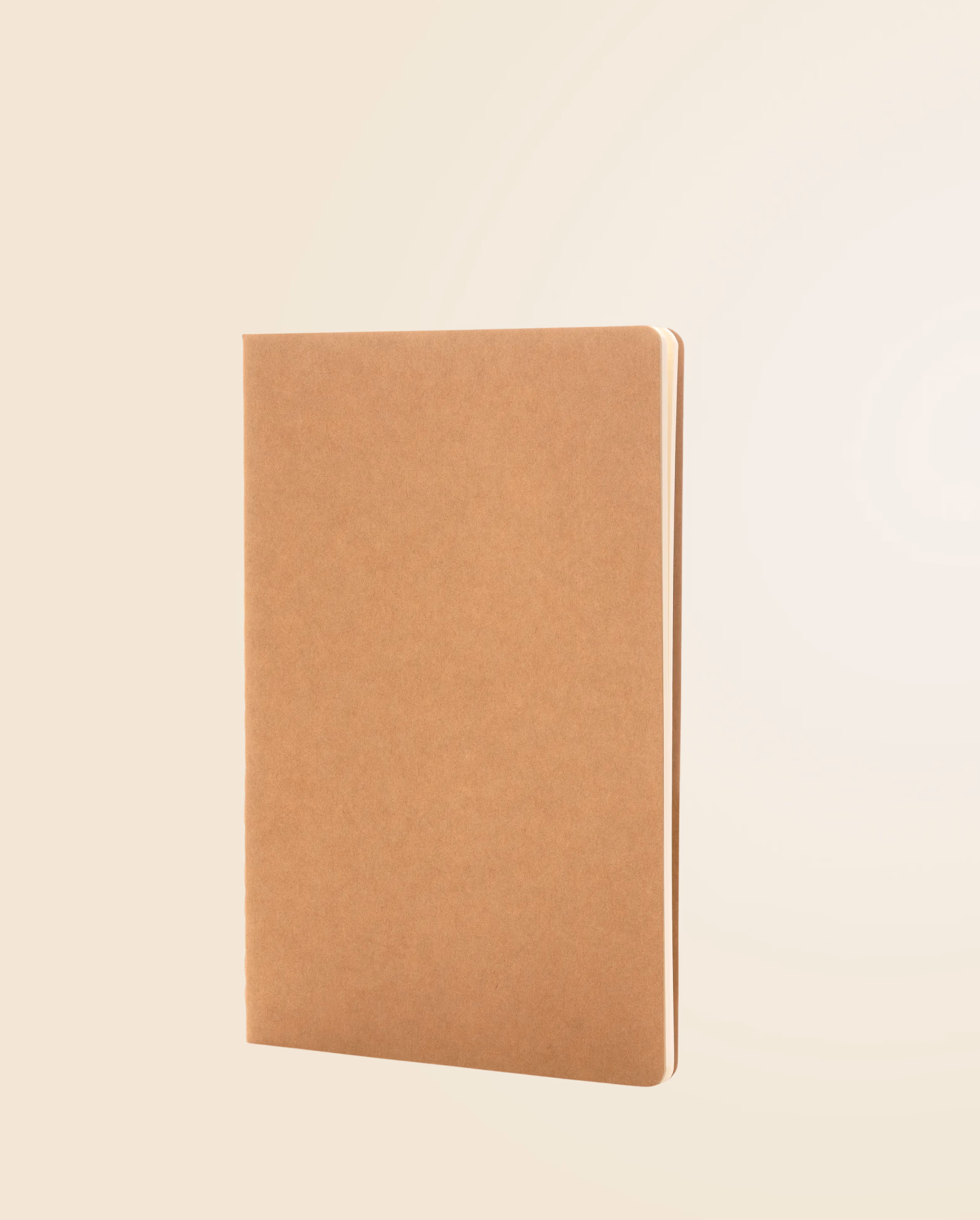 Product view 14