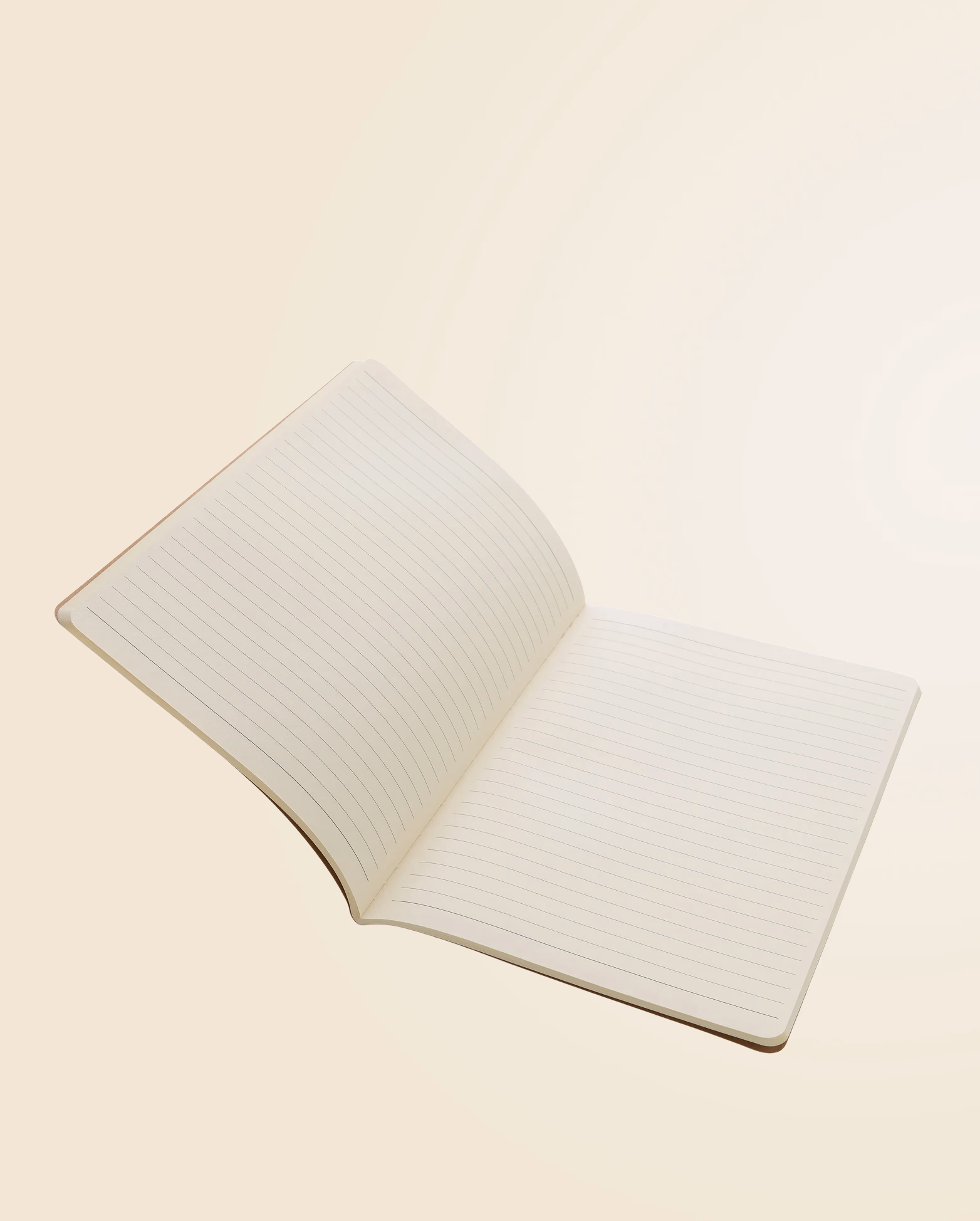 Product view 19