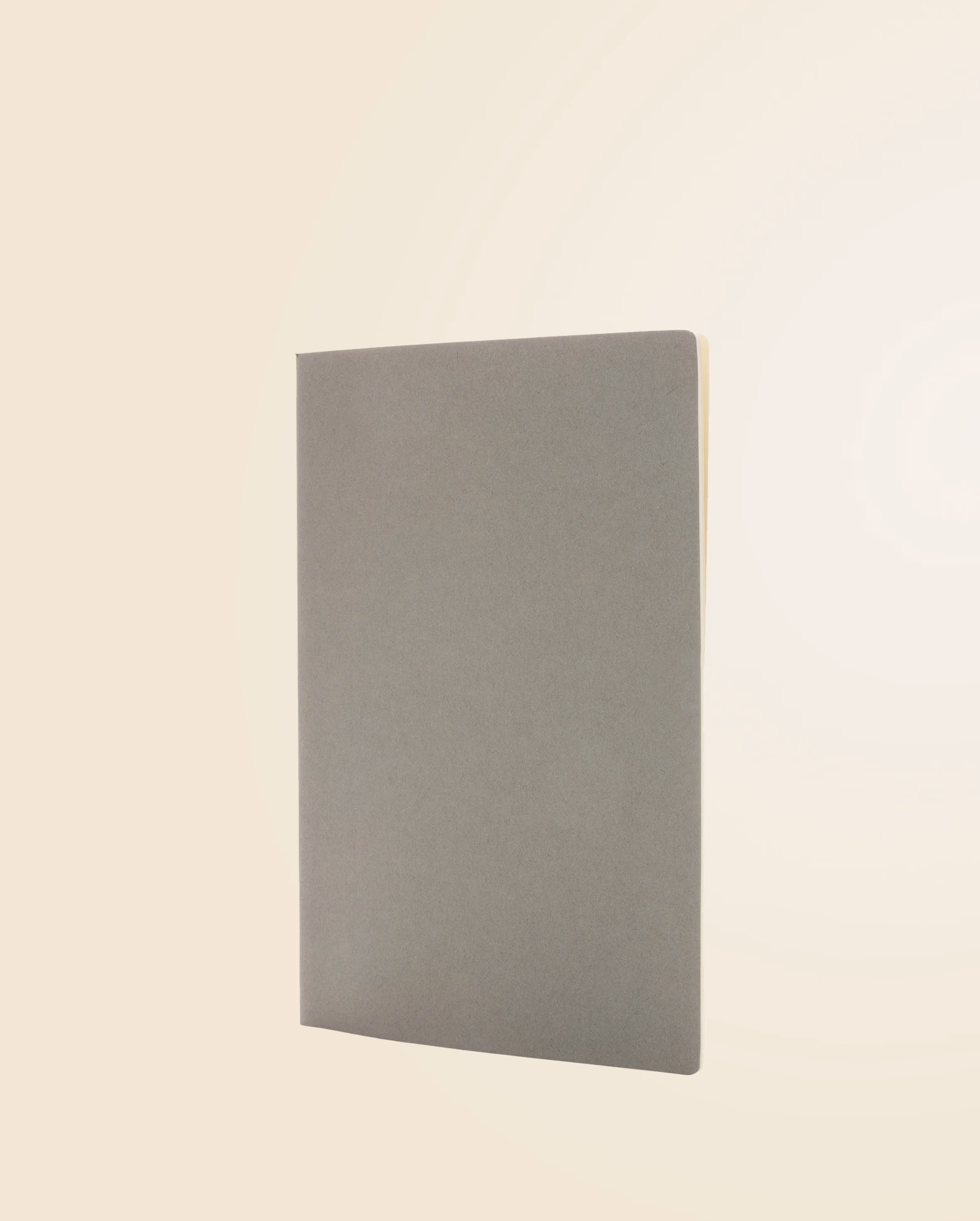 Product view 21