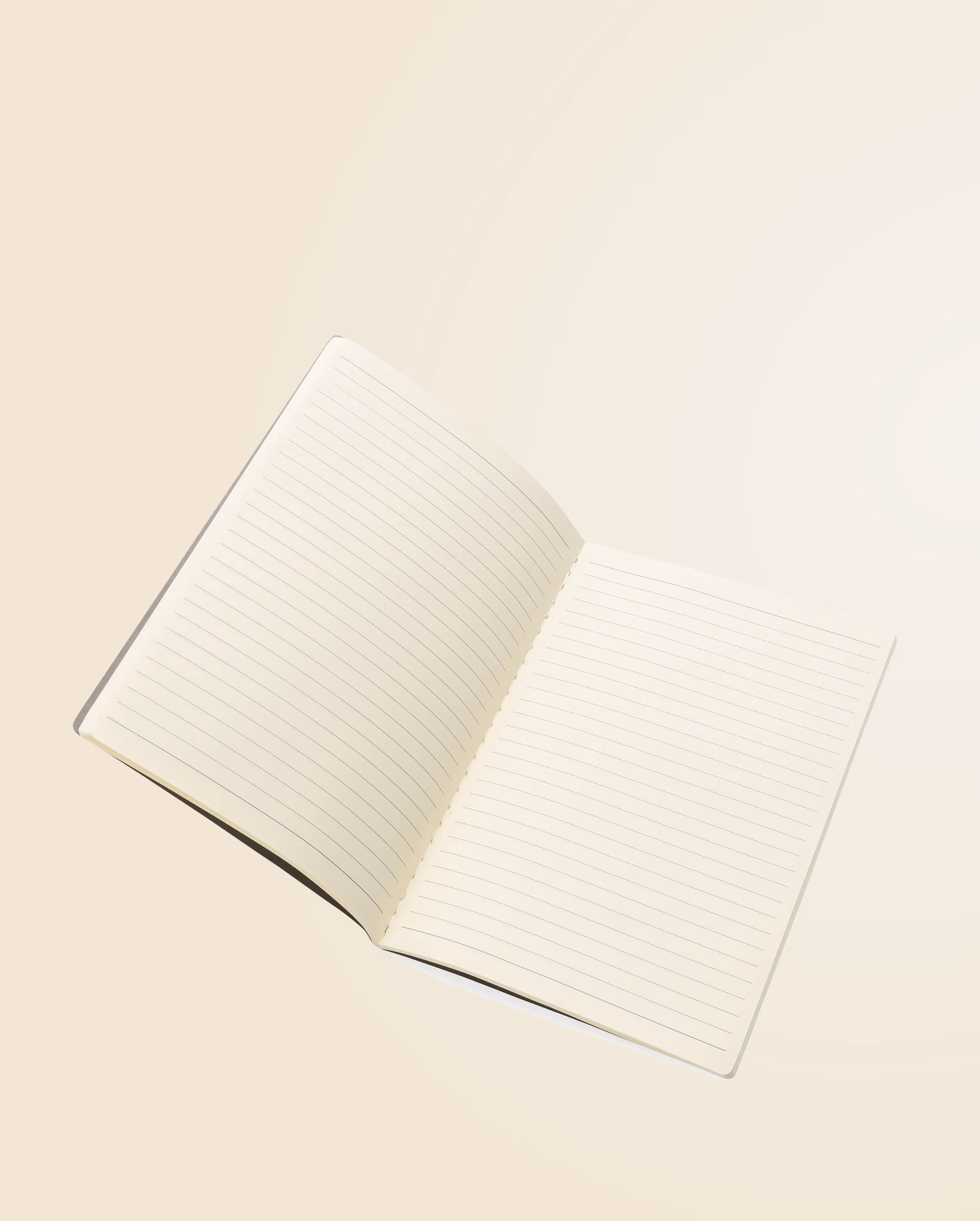 Product view 26