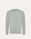Iceberg Green