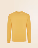 Ochre Yellow