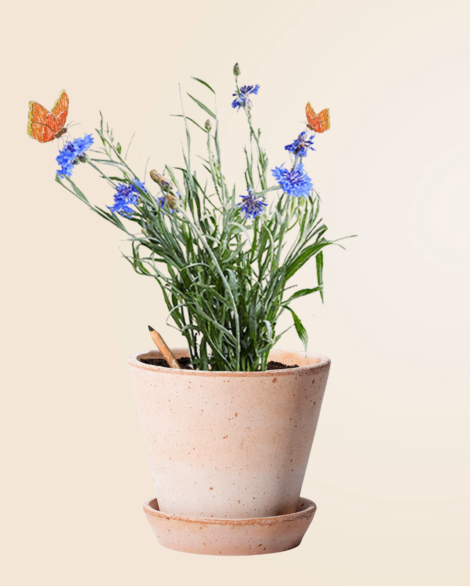 Product view 18