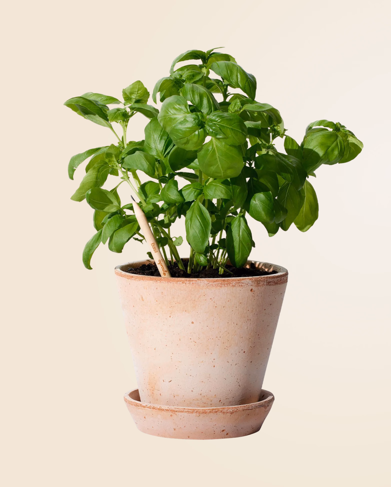 Product view 45
