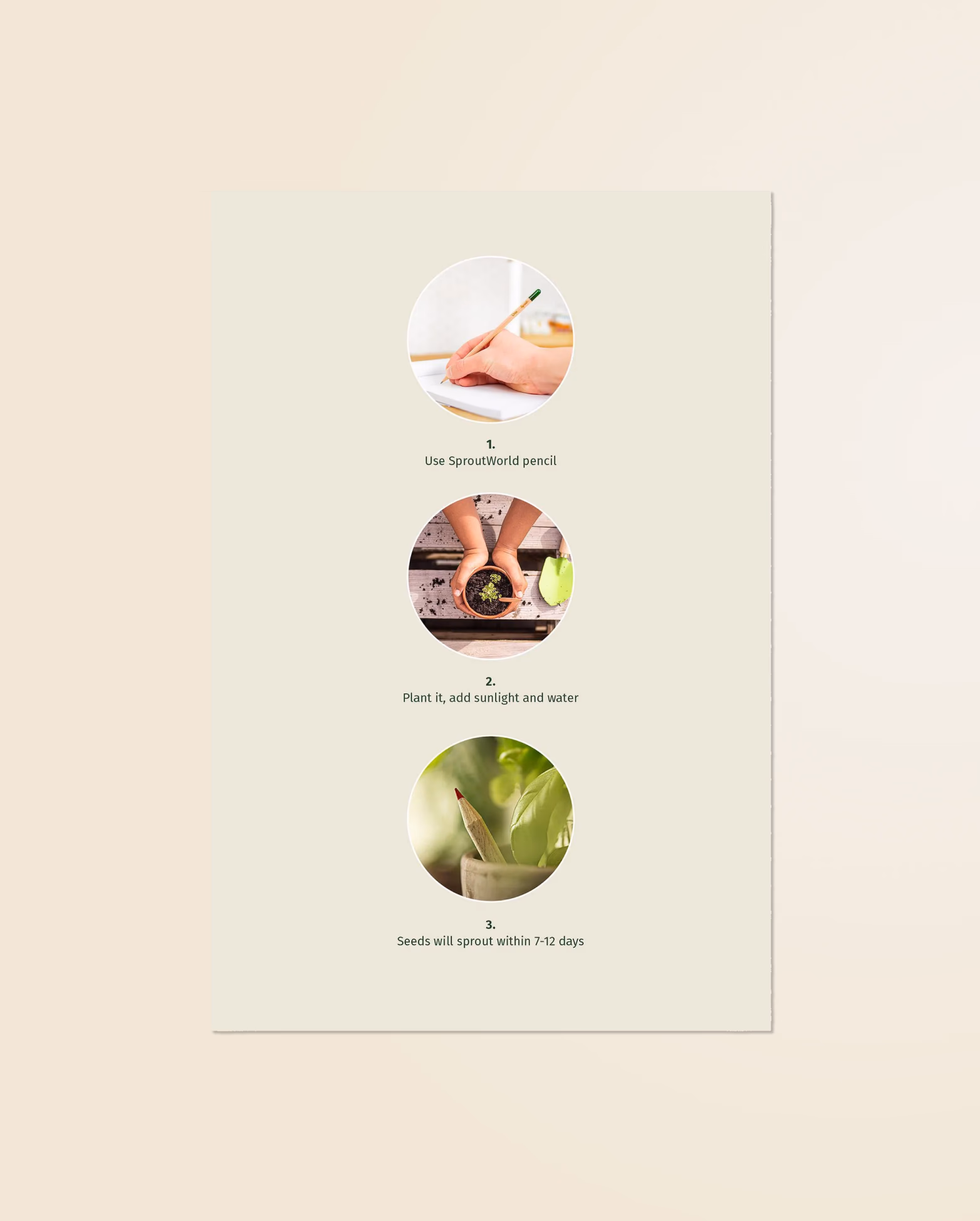 Product view 66