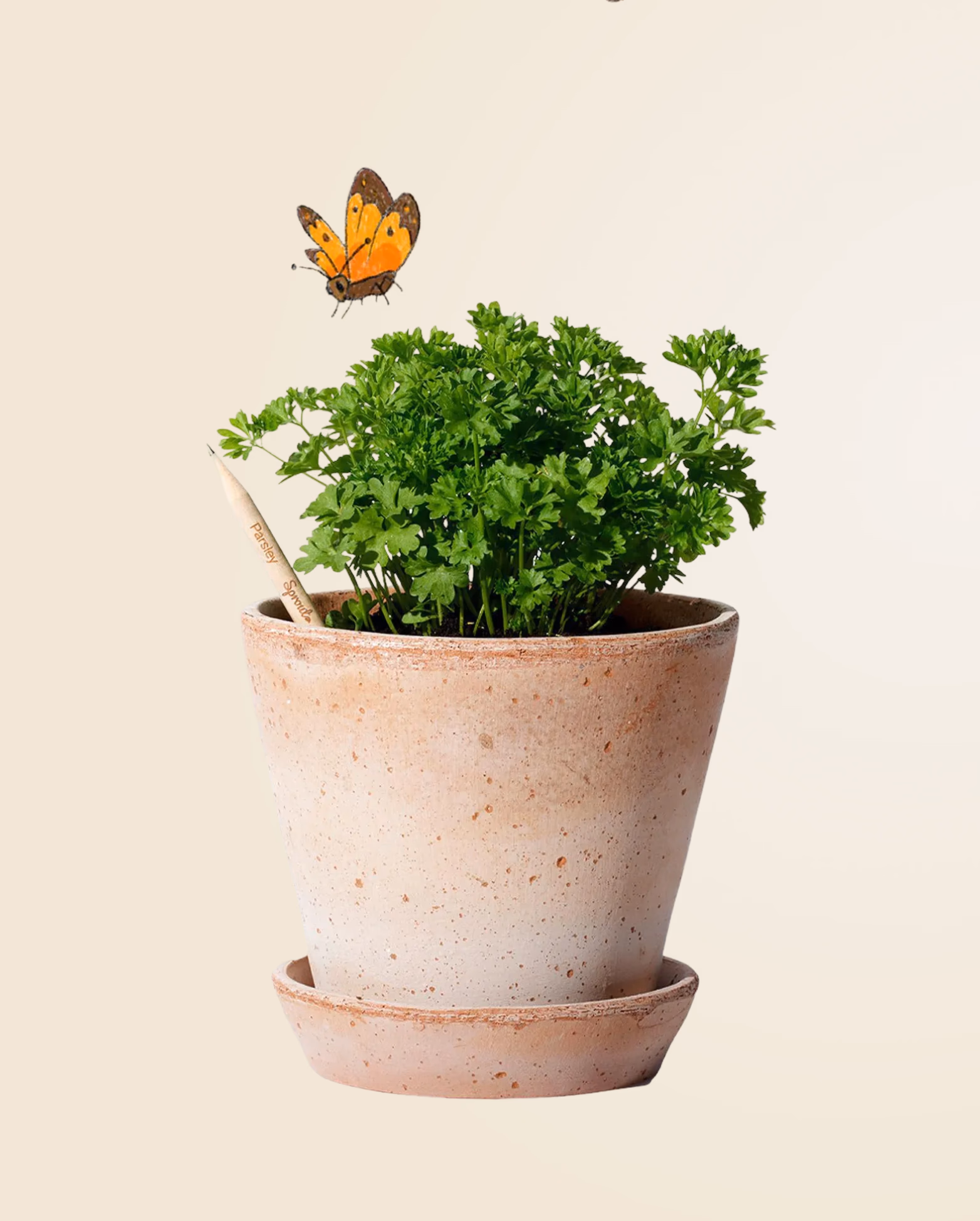 Product view 54