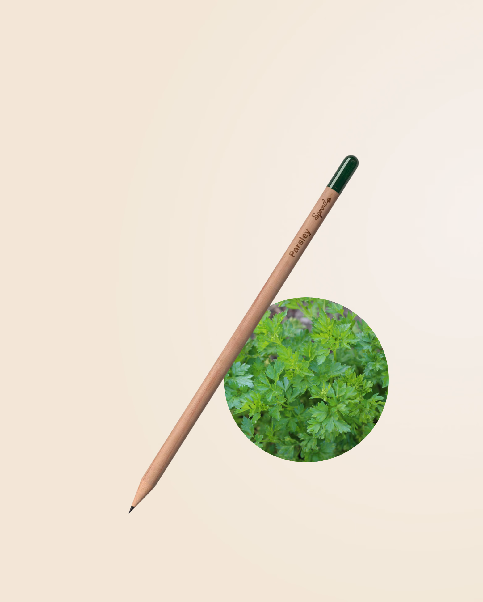 Product view 46