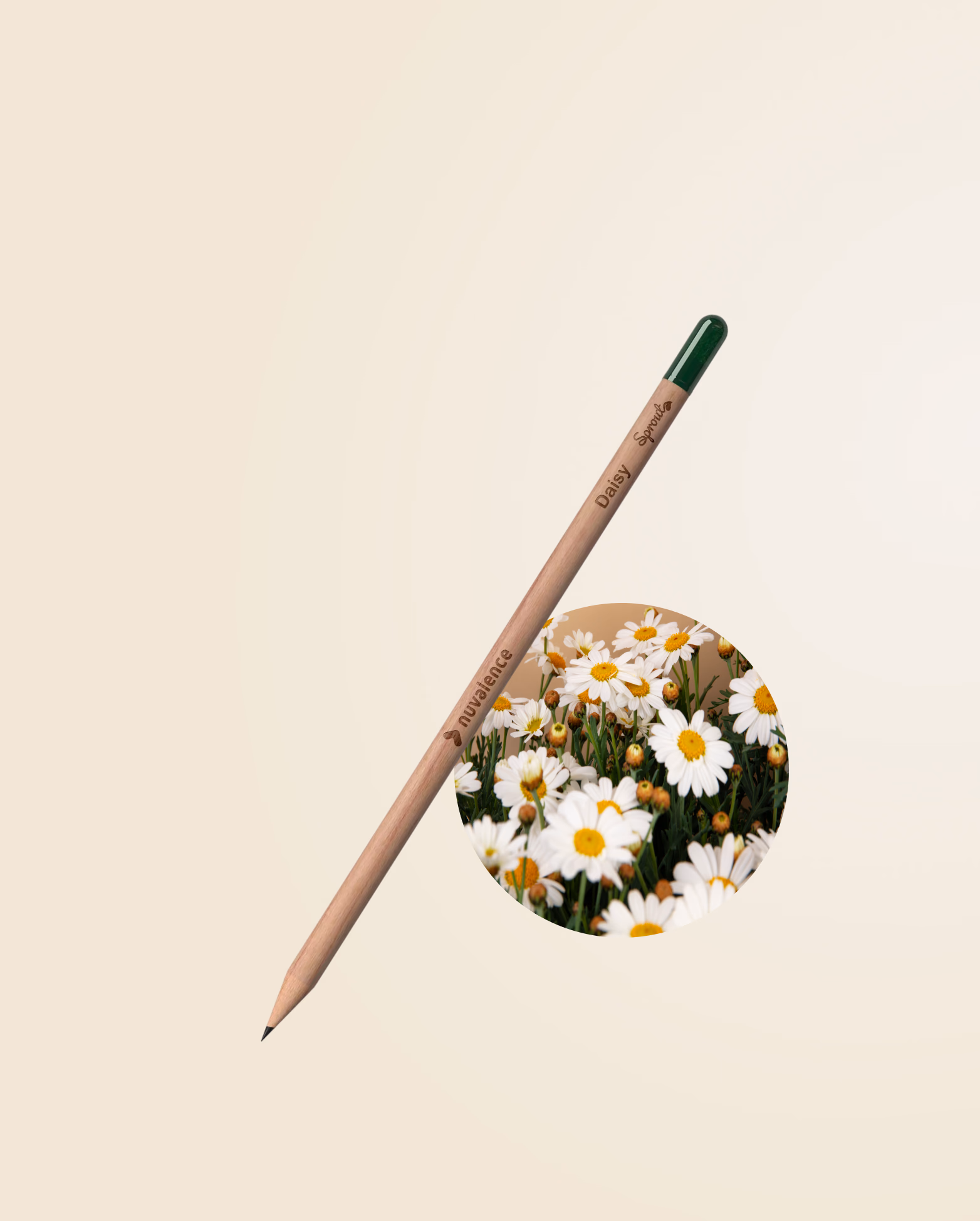 Product view 19