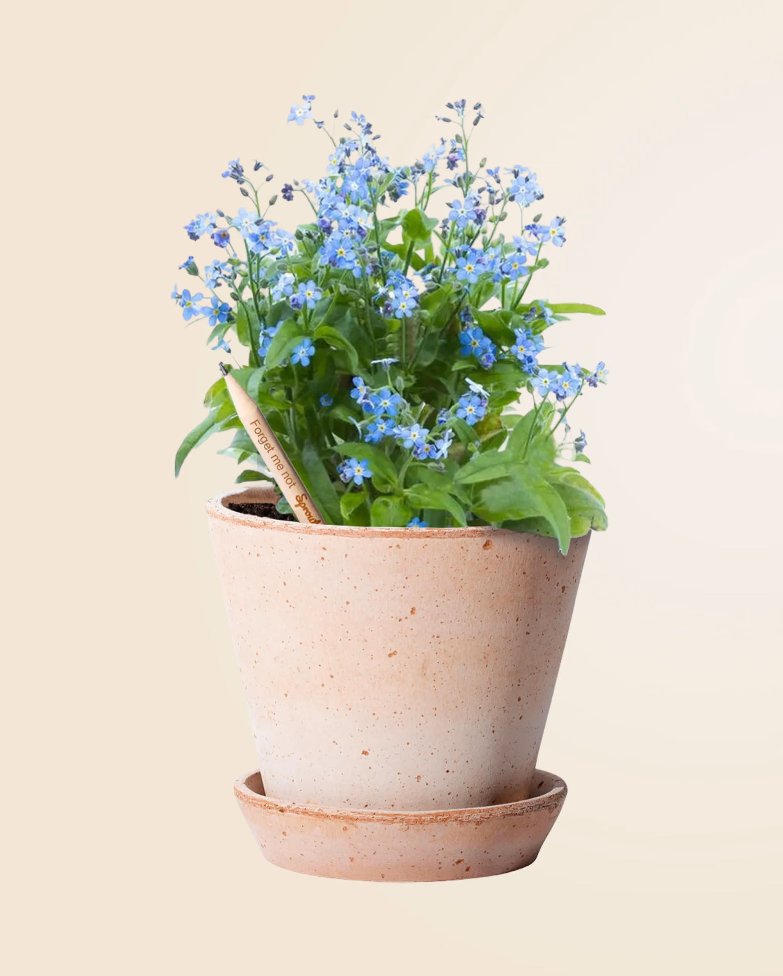 Product view 90