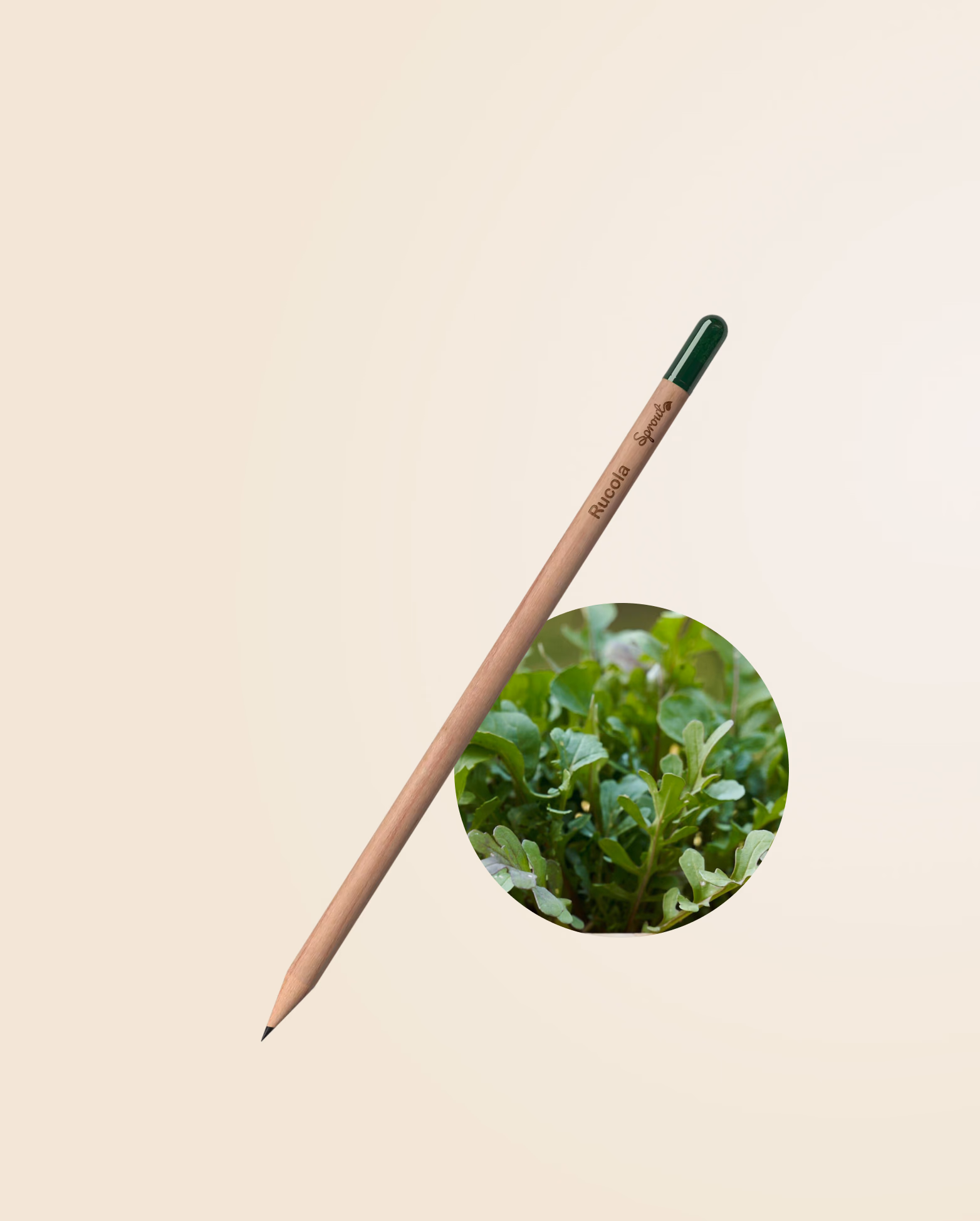 Product view 56
