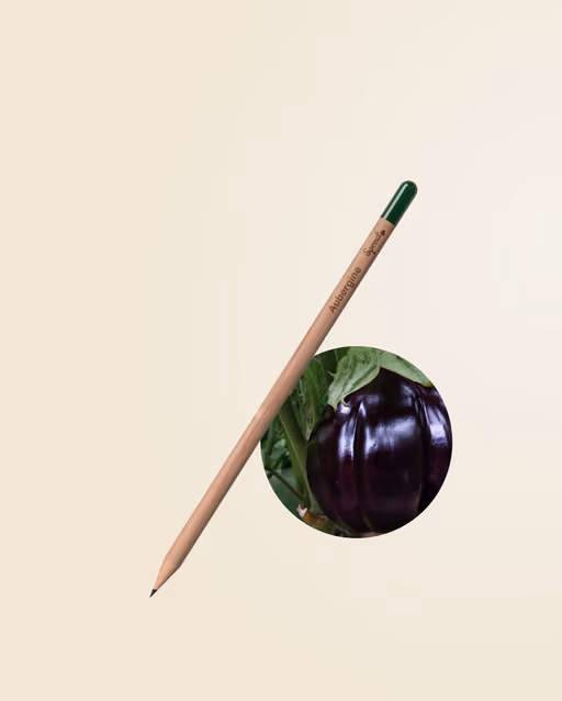 Aubergine