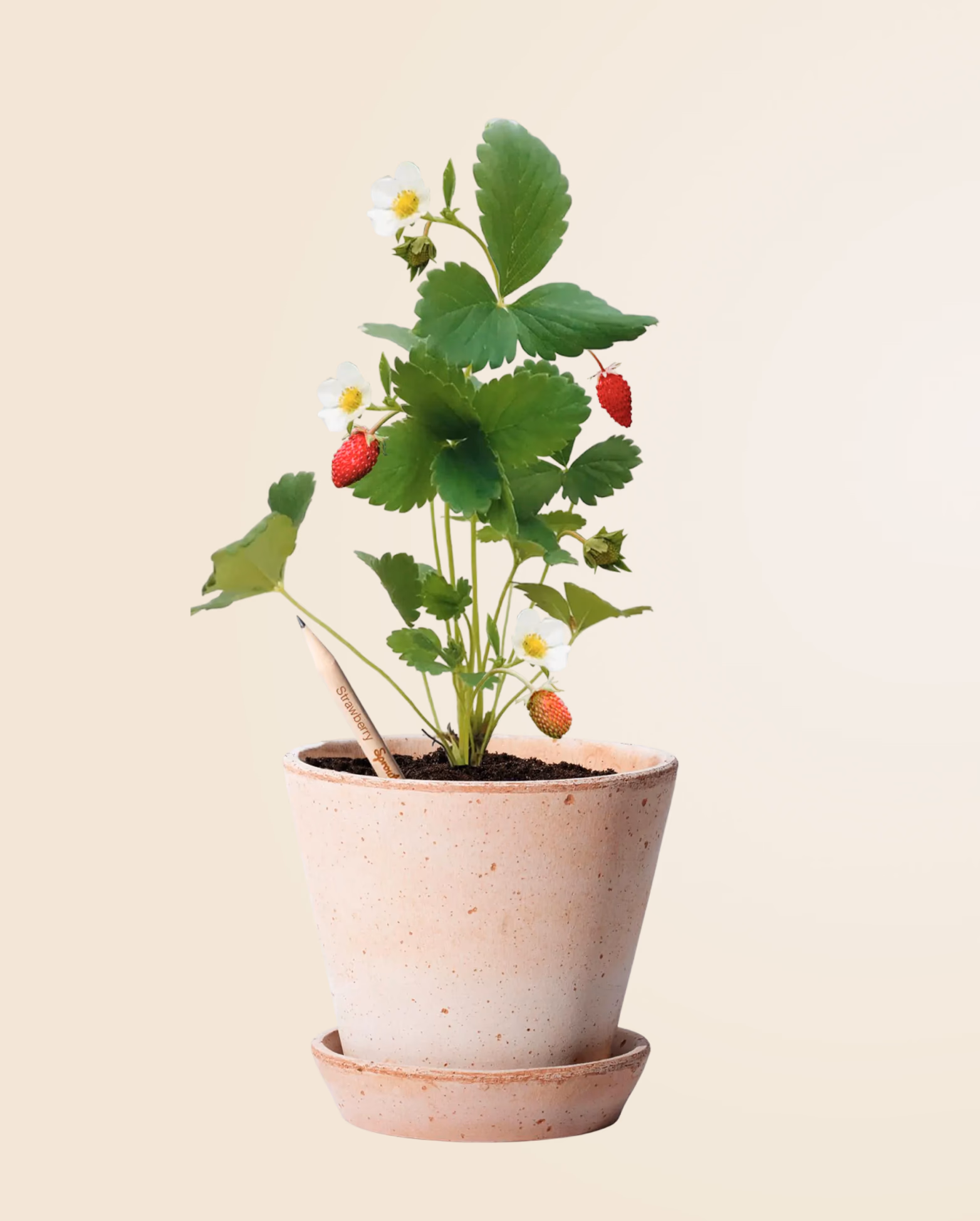 Product view 9