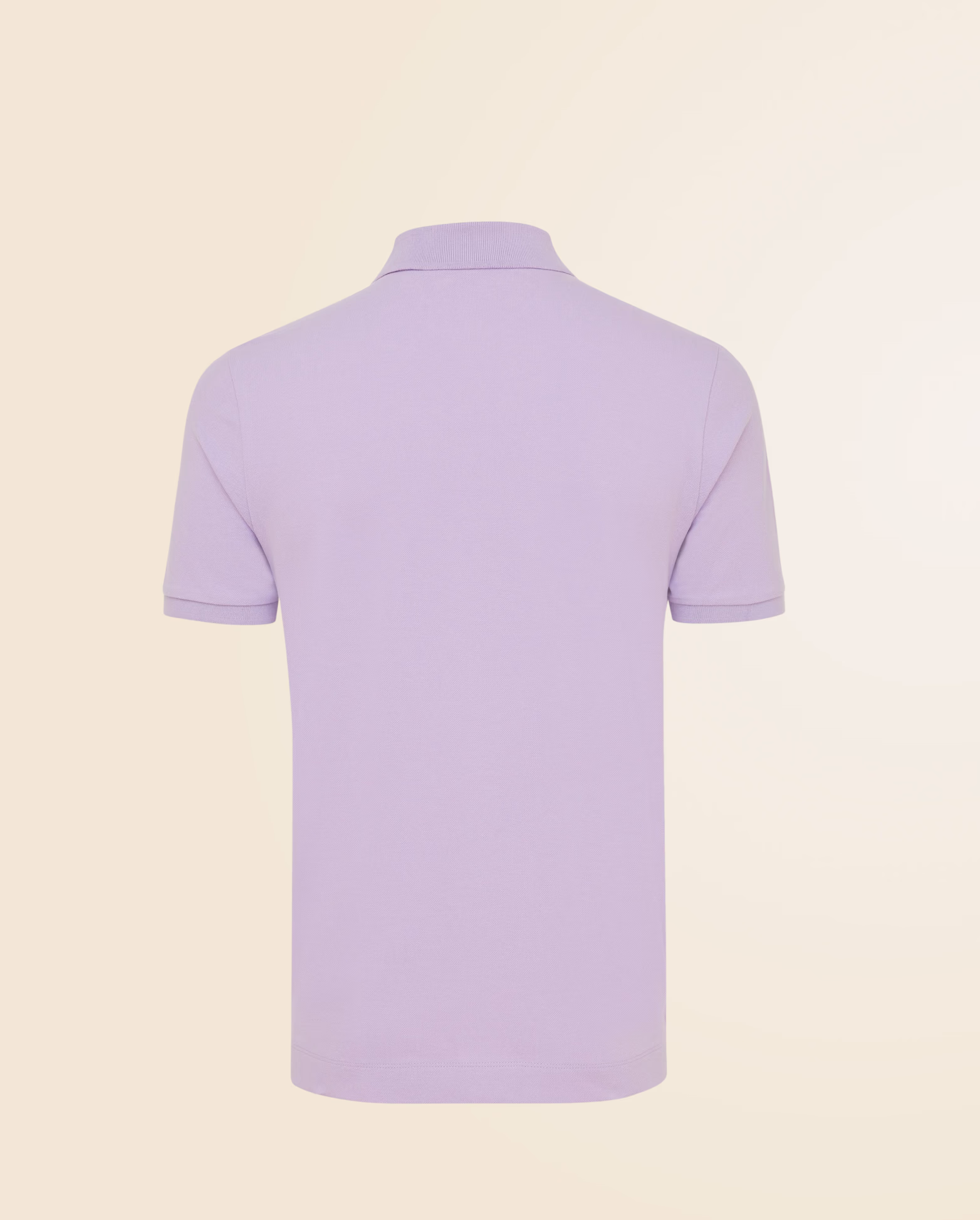 Product view 130