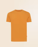 Sundial Orange