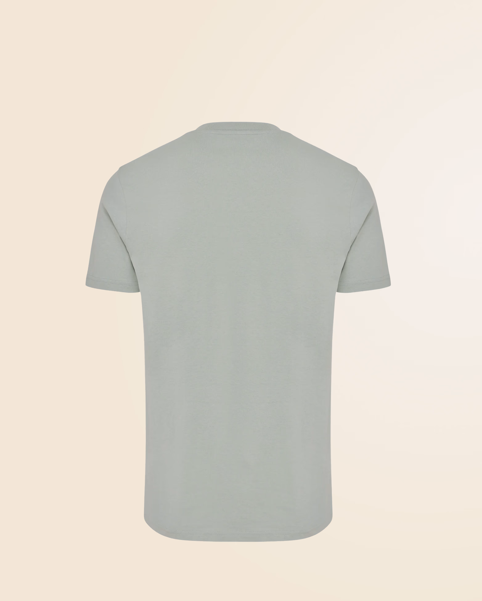 Product view 31