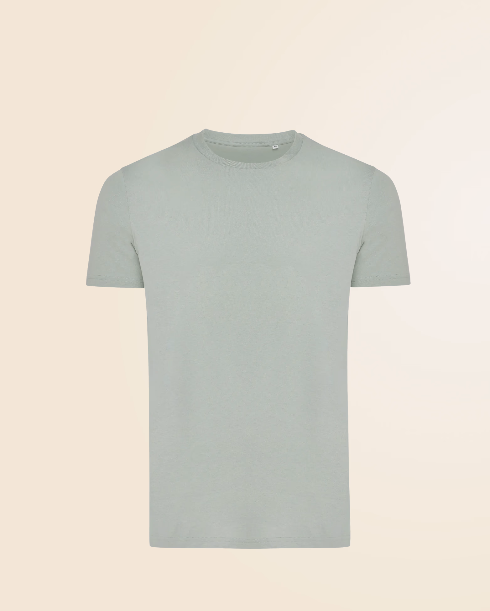 Product view 21