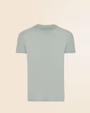 iceberg green