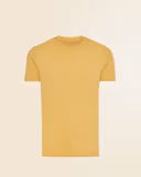 Ochre Yellow
