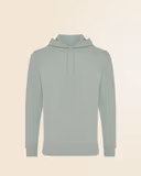 Iceberg Green