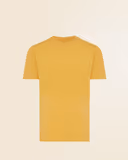 Ochre Yellow