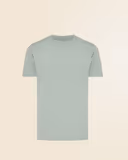 Iceberg Green