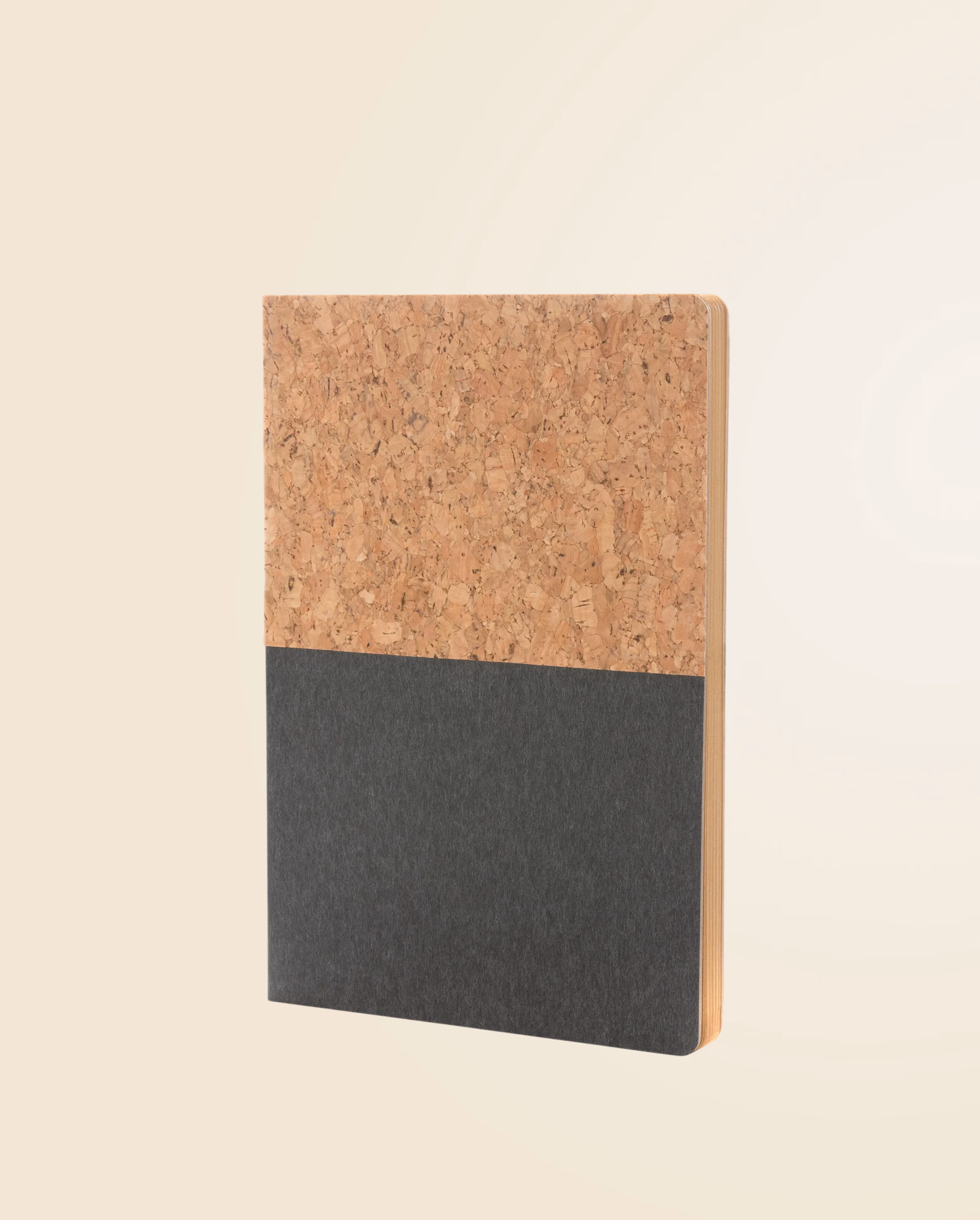 Product view 10